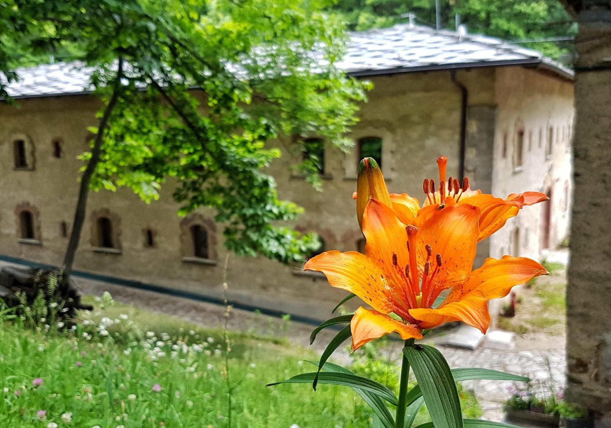 Forte Di Machaby Albergue Arnad Exterior foto
